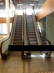 Macpherson Mall (D13), Shop House #614489751